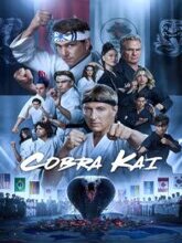 Cobra Kai S06 EP01-15 (Hin + Eng) 