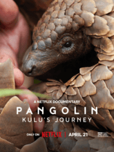 Pangolin Kulu’s Journey (Hin + Eng) 
