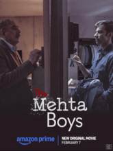 The Mehta Boys (Tam + Mal + Tel + Hin + Kan)